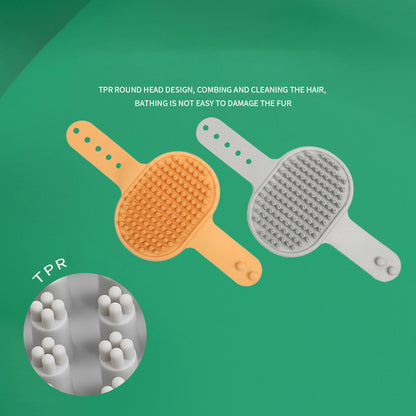Bath Massage Brush